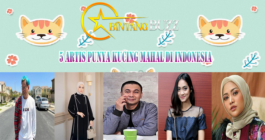 5 Artis Punya Kucing Mahal Di Indonesia