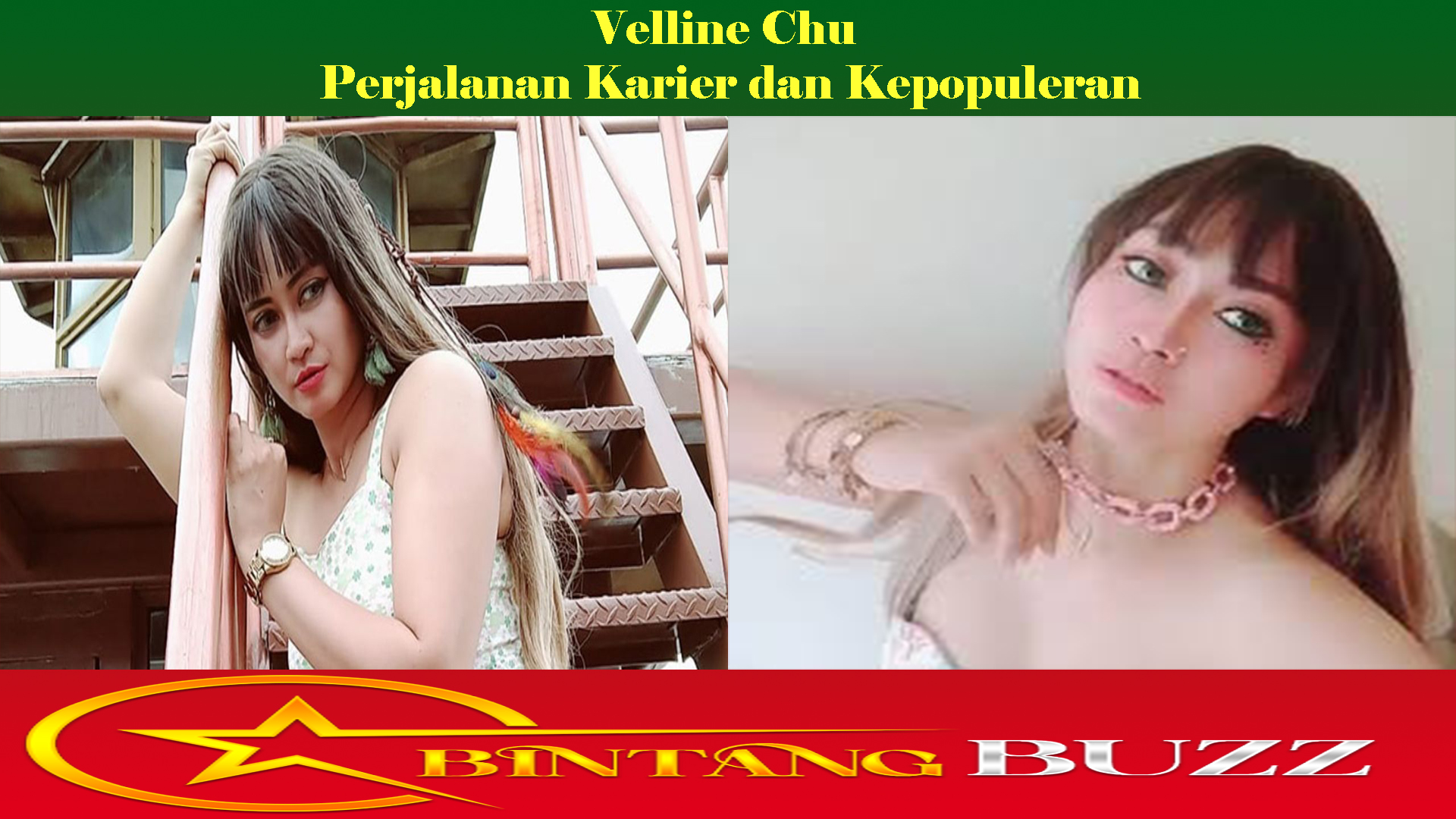 Velline Chu Perjalanan Karier dan Kepopuleran